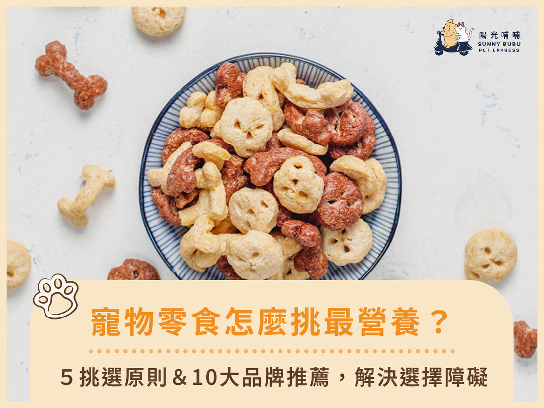 寵物零食怎麼挑最營養？5挑選原則＆10大品牌推薦，解決選擇障礙