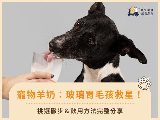 寵物羊奶：「玻璃胃」毛孩救星！挑選撇步＆飲用方法完整分享