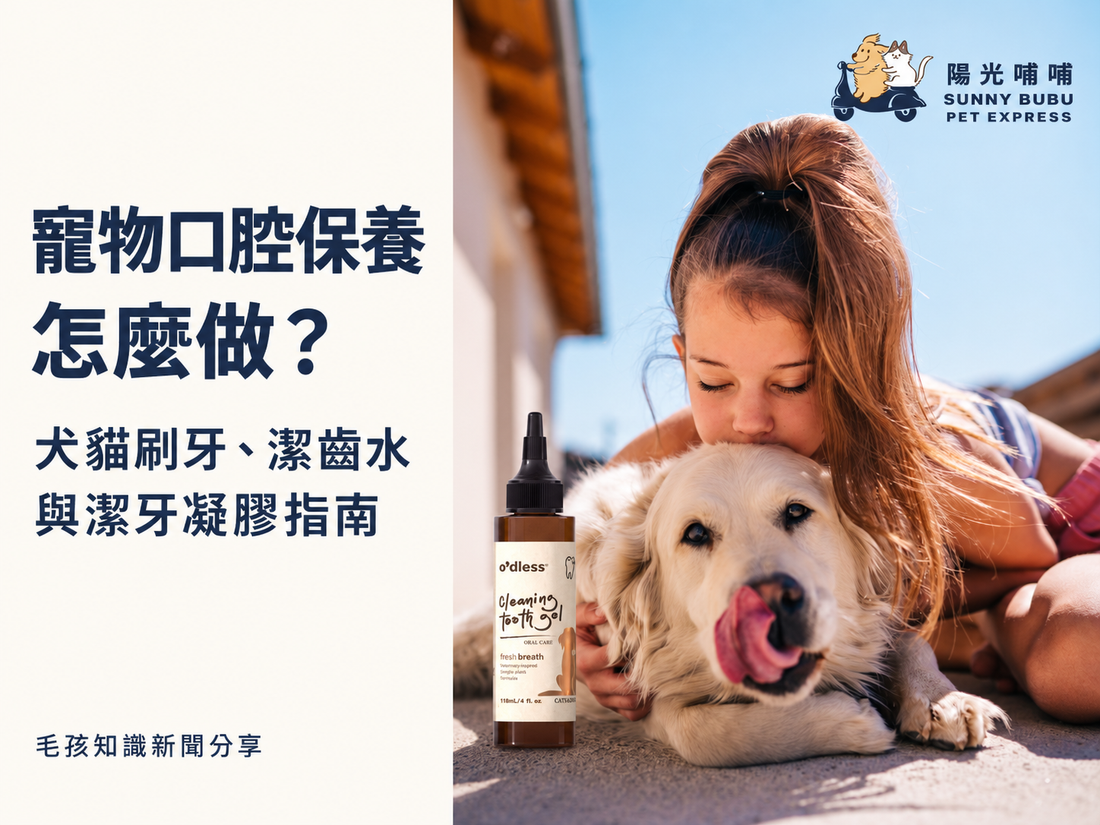陽光哺哺寵物口腔保養指南：原廠照護情境與品牌 Logo
