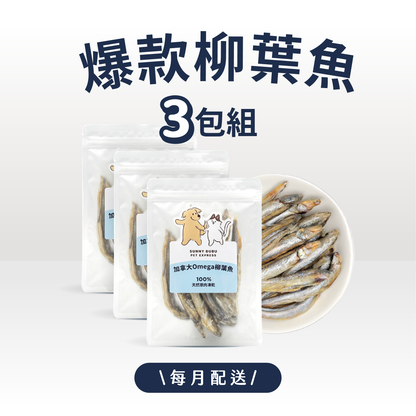 凍乾訂閱制｜限時・專屬優惠