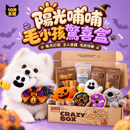 Crazy Box 驚喜盒｜訂閱制